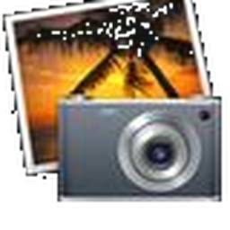 Photos